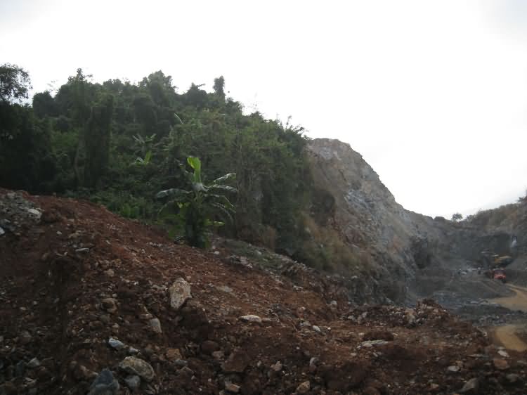 红林动物化石地点