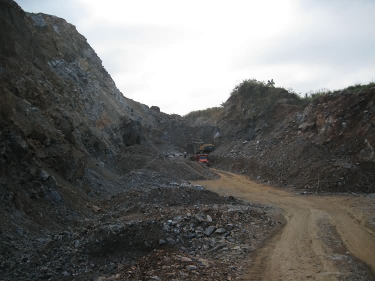 红林动物化石地点