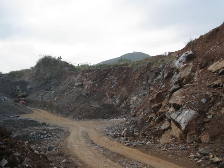 红林动物化石地点