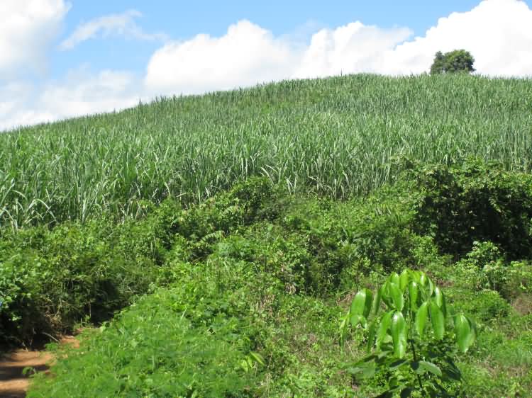 大仍铜器出土点