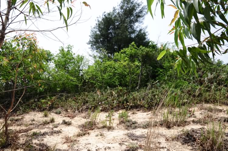 的牙楼烽火台遗址