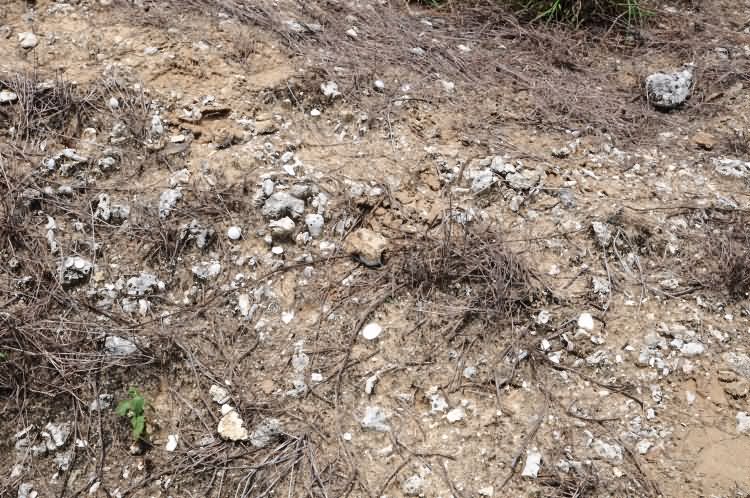 的牙楼烽火台遗址