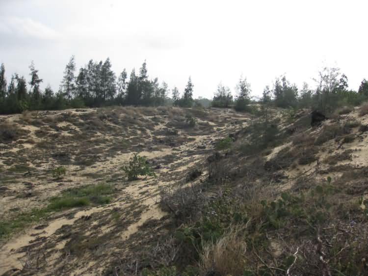 昌化-儋州古道遗址