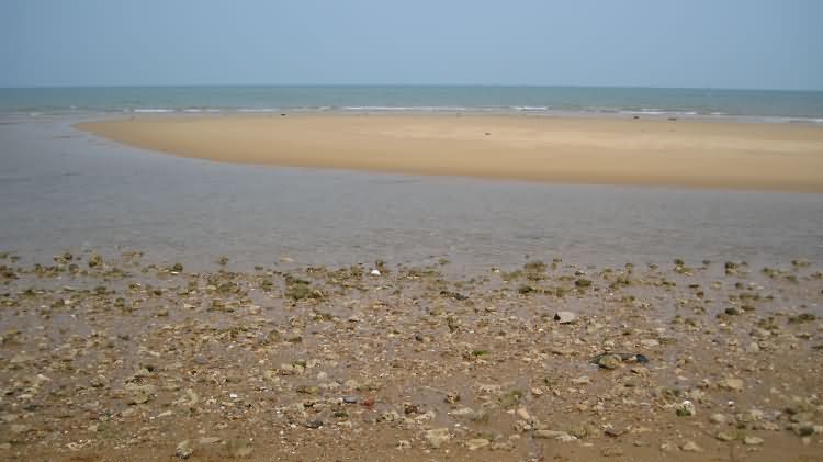新港清代瓷器水下遗物点