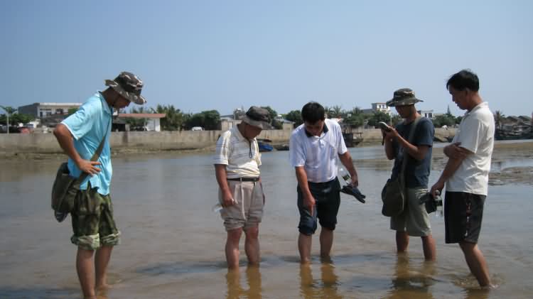 新港清代沉船地点