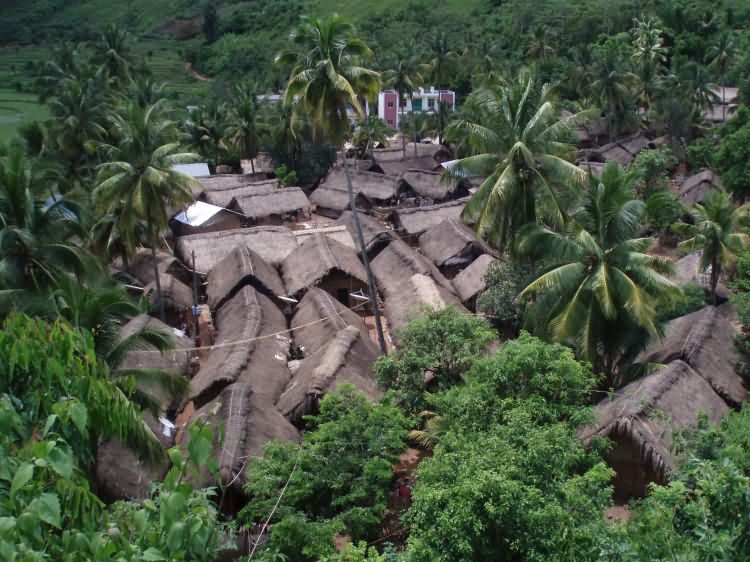 洪水村黎族金字形茅屋