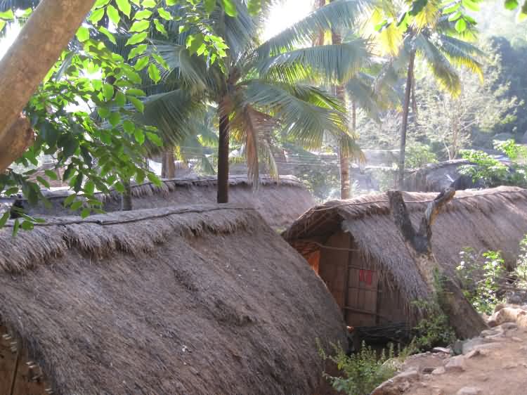 洪水村黎族金字形茅屋