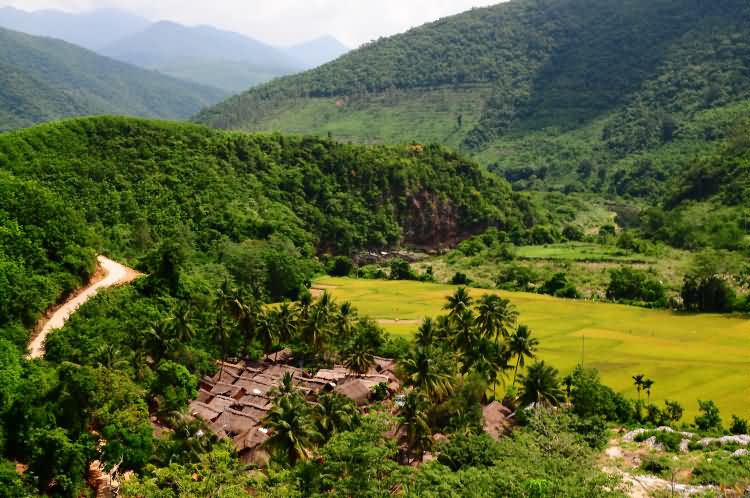 洪水村黎族金字形茅屋