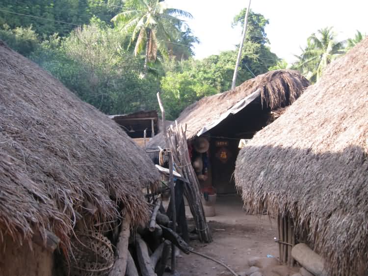 洪水村黎族金字形茅屋