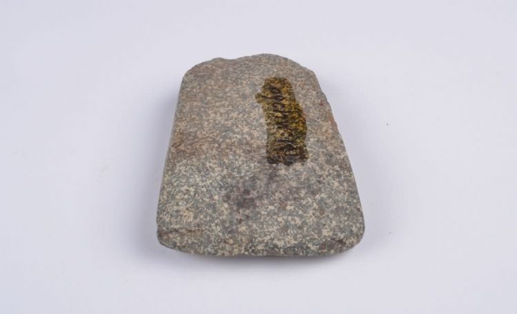 新石器时代乌烈村遗址石锛