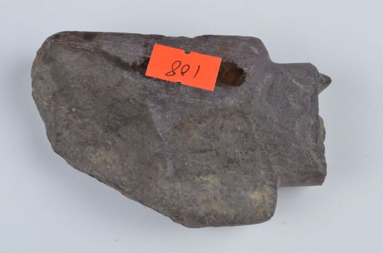 新石器时代乌烈村遗址石拍