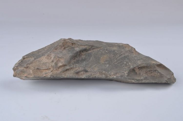 旧石器时代铁钱洞刮削器