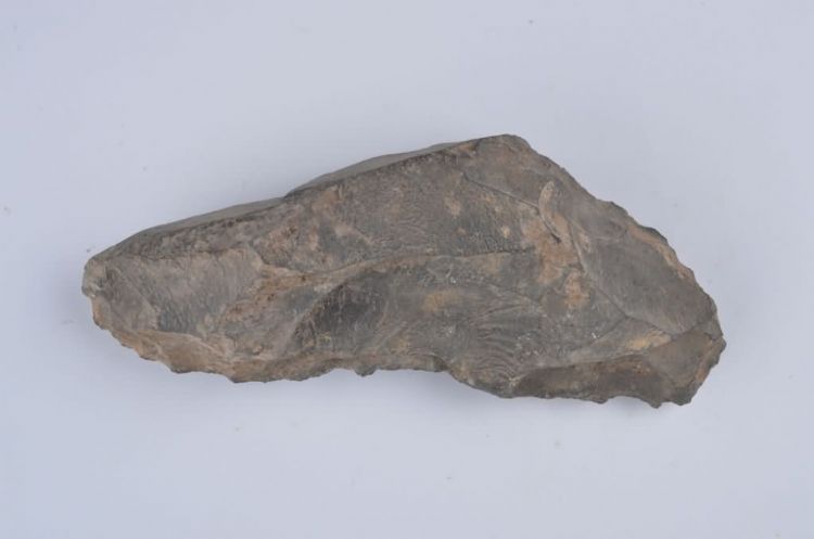 旧石器时代铁钱洞刮削器