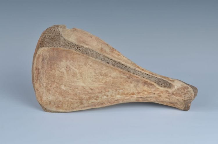 现代黎族骨饭勺