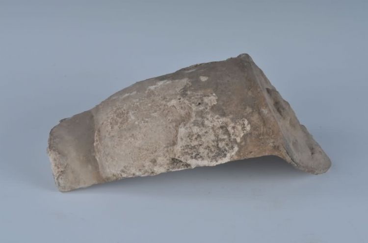 清蜥蝎纹陶瓦当